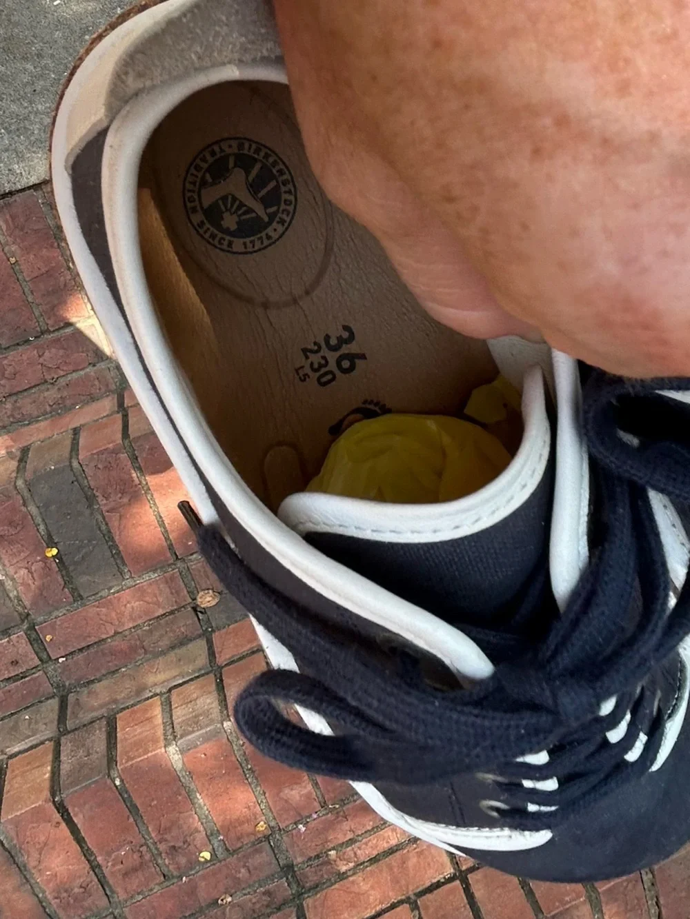 Birkenstock santa cruz